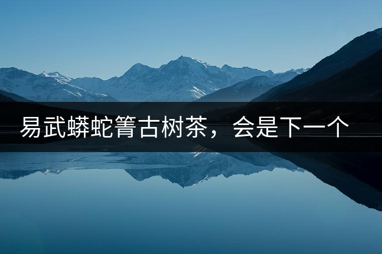 易武蟒蛇箐古樹茶，會是下一個銅箐河嗎？