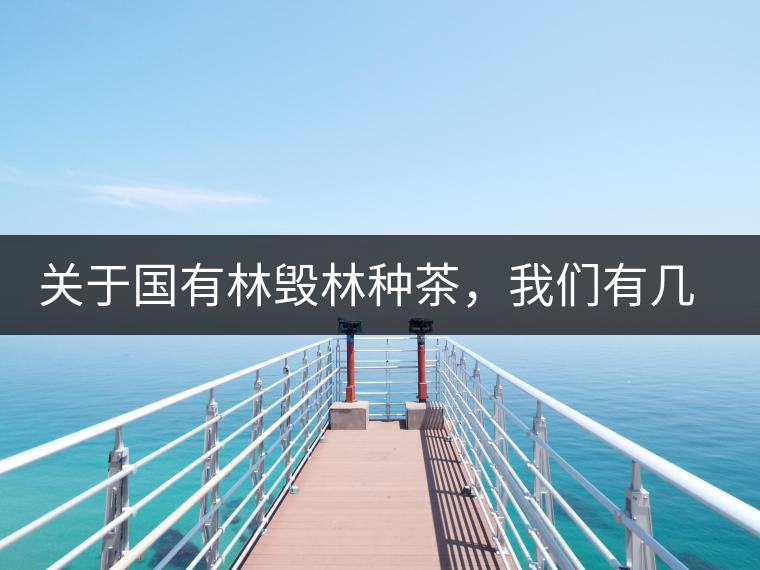 關于國有林毀林種茶，我們有幾點不得不說