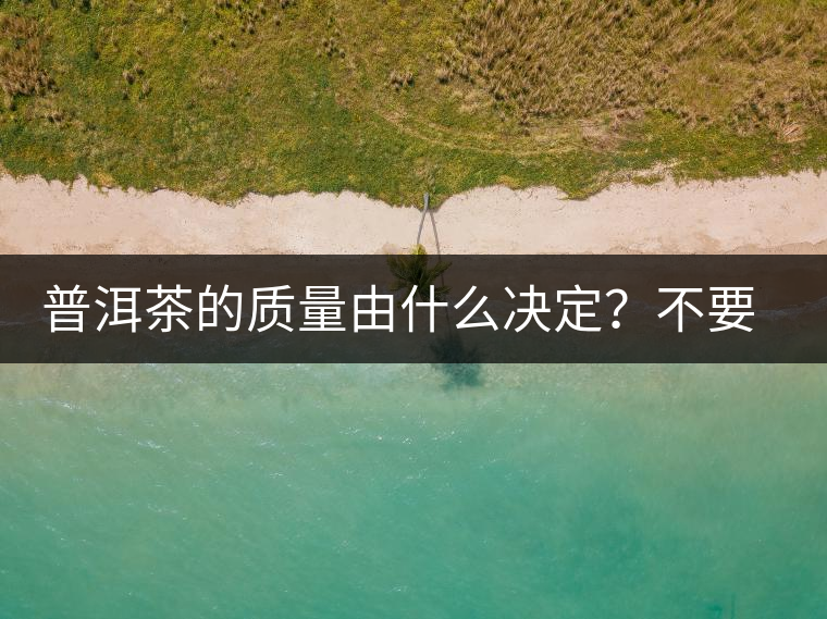 普洱茶的質(zhì)量由什么決定？不要輕信等級