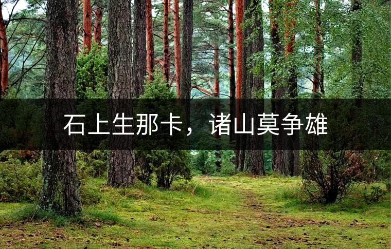 石上生那卡，諸山莫爭雄