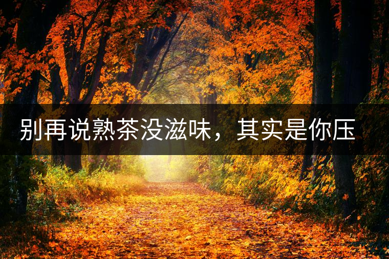 別再說(shuō)熟茶沒(méi)滋味，其實(shí)是你壓根沒(méi)喝懂