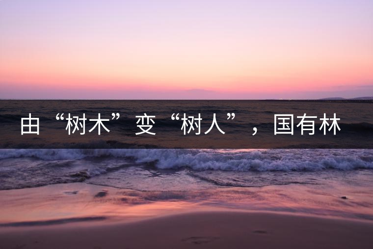 由“樹木”變“樹人”，國有林普洱茶為什么越來越受歡迎？