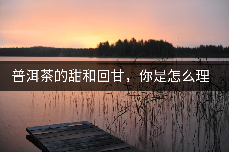 普洱茶的甜和回甘，你是怎么理解的？