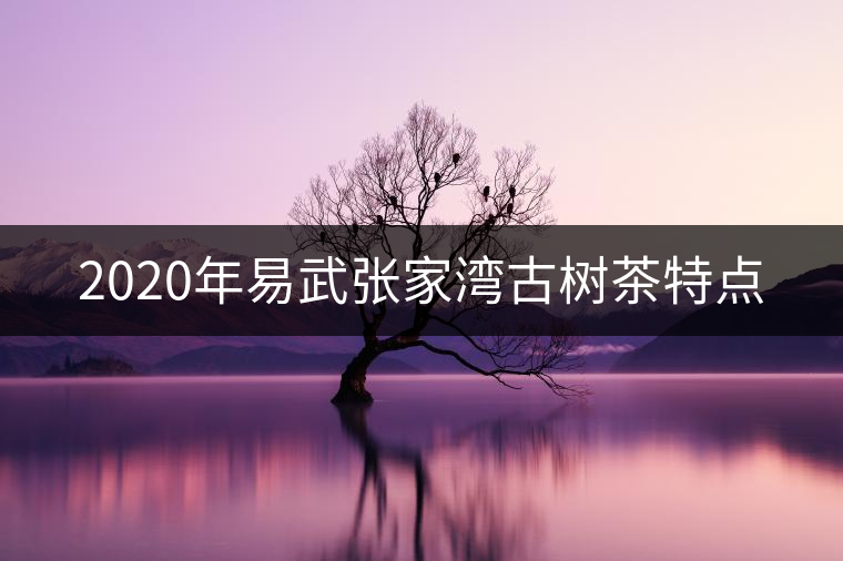 2020年易武張家灣古樹(shù)茶特點(diǎn)