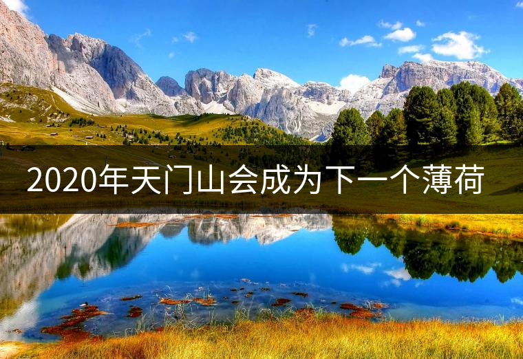 2020年天門山會成為下一個(gè)薄荷塘嗎？