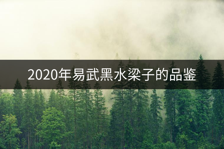 2020年易武黑水梁子的品鑒