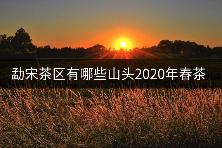 勐宋茶區(qū)有哪些山頭2020年春茶價格？