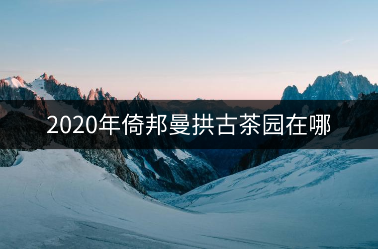 2020年倚邦曼拱古茶園在哪