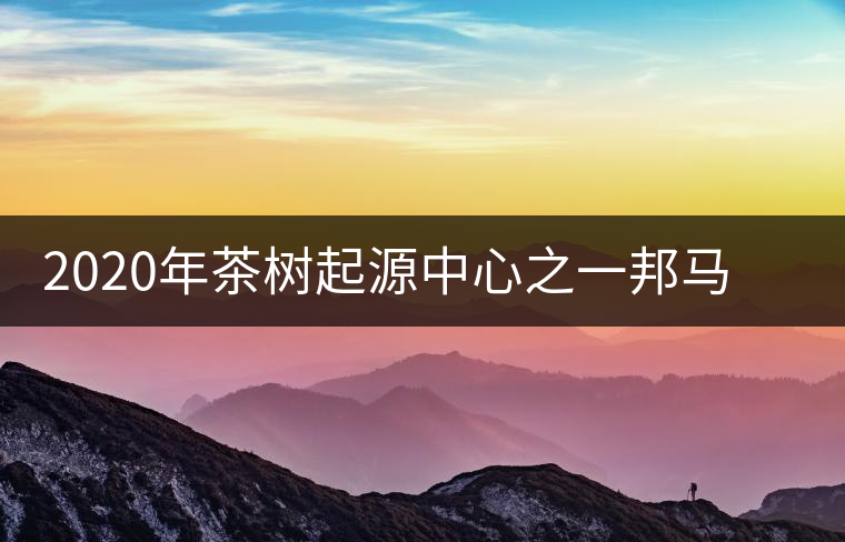 2020年茶樹起源中心之一邦馬大雪山上有哪些神秘的村寨？
