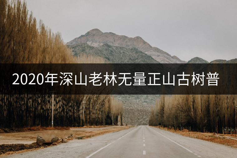 2020年深山老林無(wú)量正山古樹(shù)普洱茶特點(diǎn) 2020年深山老林無(wú)量正山古樹(shù)普洱茶特點(diǎn)