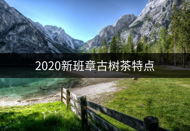 2020新班章古樹茶特點