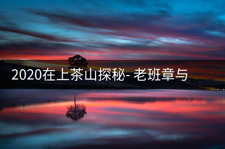 2020在上茶山探秘- 老班章與新班章，一母所生，一念之間，際遇迥異