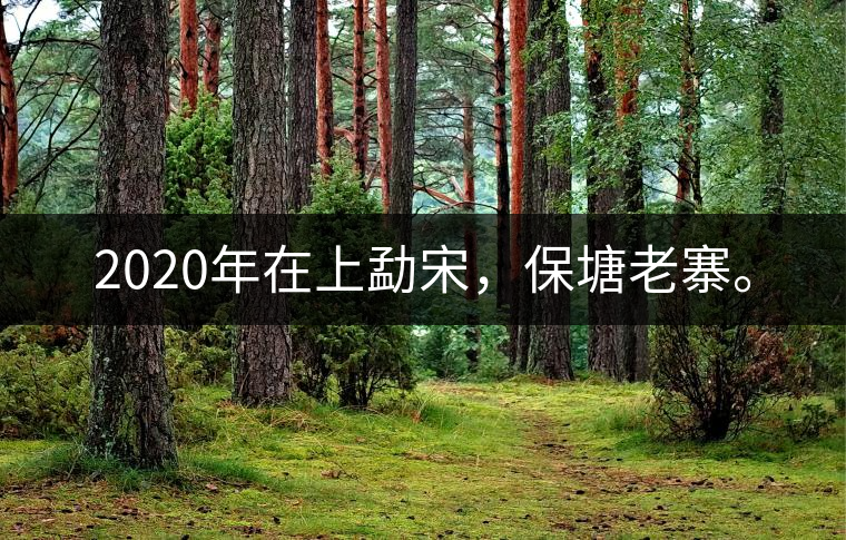 2020年在上勐宋，保塘老寨。