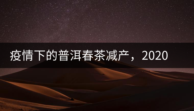 疫情下的普洱春茶減產(chǎn)，2020年價(jià)格“兩極分化”或成常態(tài)？