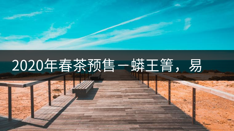 2020年春茶預(yù)售－蟒王箐，易武一個(gè)蟒蛇出沒的地方