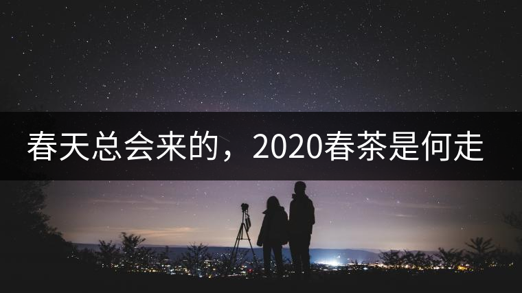 春天總會來的，2020春茶是何走勢？