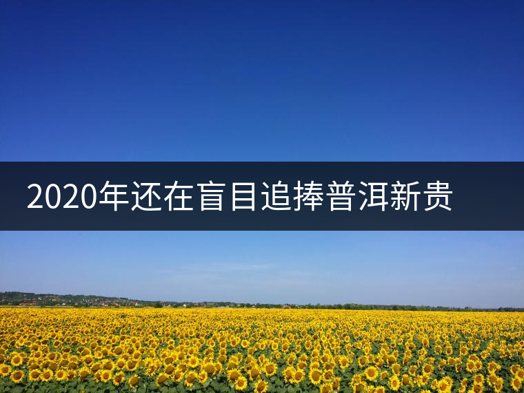 2020年還在盲目追捧普洱新貴“貓耳朵”？我們深入產(chǎn)區(qū)為你揭示最真實(shí)的“貓耳朵”！