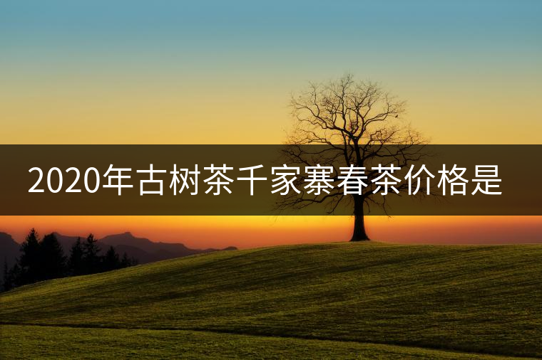2020年古樹茶千家寨春茶價(jià)格是多少？
