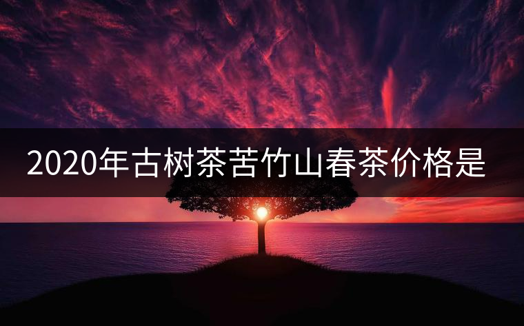 2020年古樹茶苦竹山春茶價(jià)格是多少？
