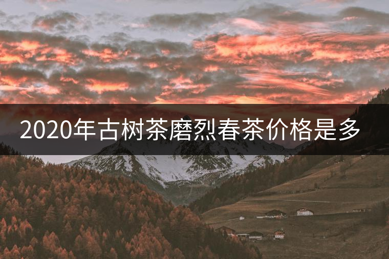 2020年古樹茶磨烈春茶價格是多少？