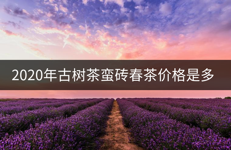 2020年古樹茶蠻磚春茶價(jià)格是多少？