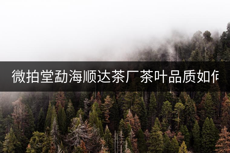 微拍堂勐海順達茶廠茶葉品質如何？