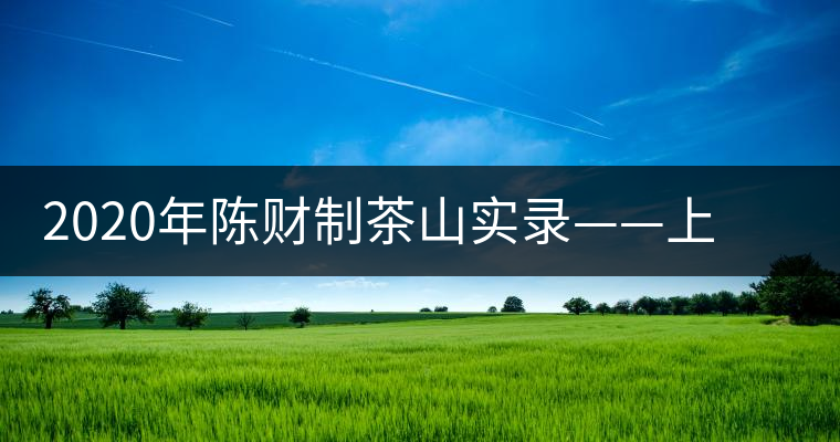 2020年陳財制茶山實錄——上貢車里宣慰府的那卡 2020年陳財制茶山實錄——上貢車里宣慰府的那卡