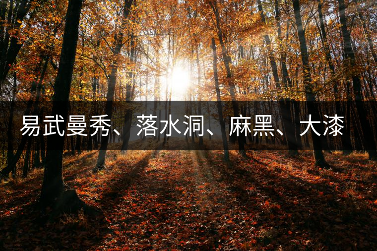 易武曼秀、落水洞、麻黑、大漆樹等你更喜歡哪個茶？