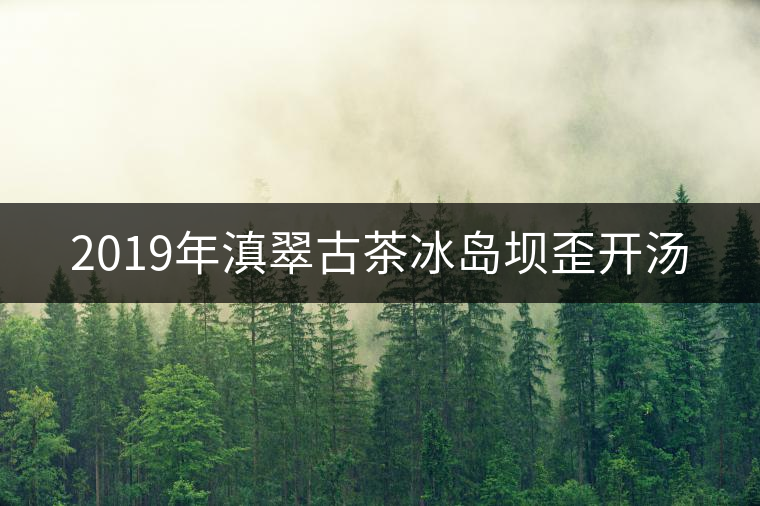 2019年滇翠古茶冰島壩歪開湯