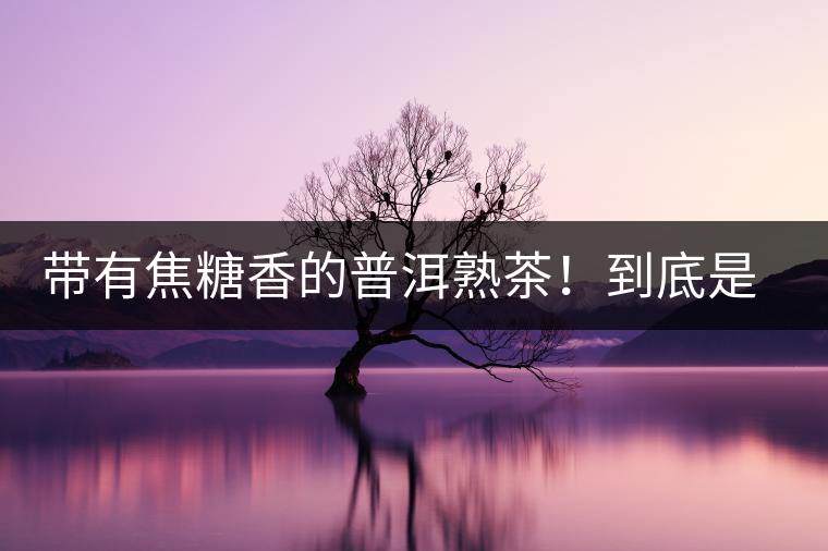 帶有焦糖香的普洱熟茶！到底是好是壞？