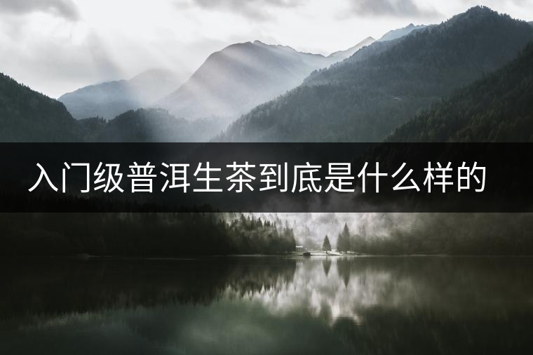 入門級普洱生茶到底是什么樣的口感？