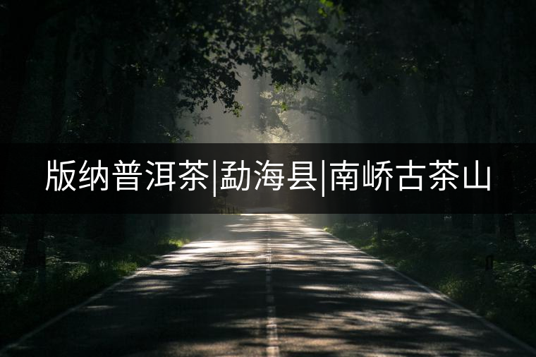 版納普洱茶|勐?？h|南嶠古茶山