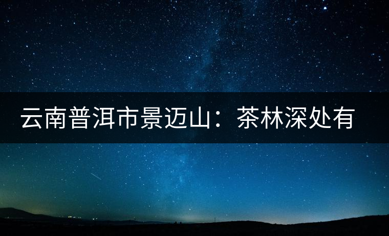 云南普洱市景邁山:茶林深處有人家 云南普洱市景邁山:茶林深處有人家