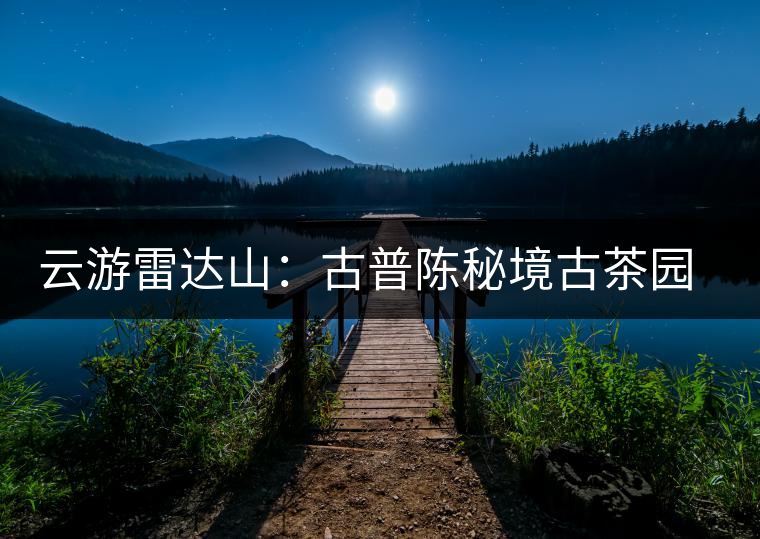 云游雷達山：古普陳秘境古茶園，品第一杯春鮮