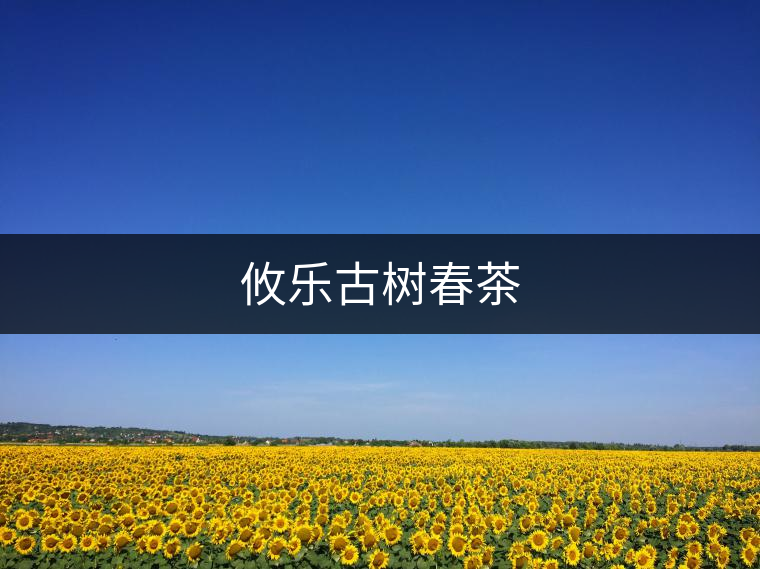 攸樂(lè)古樹(shù)春茶 攸樂(lè)古樹(shù)春茶