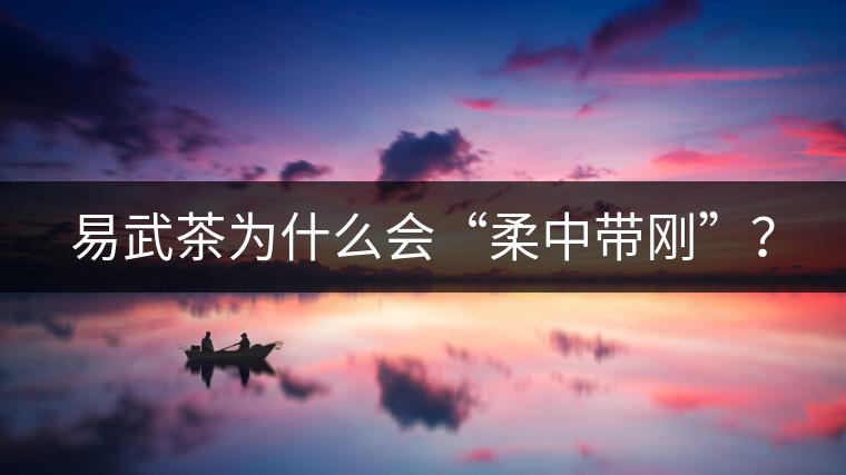 易武茶為什么會(huì)“柔中帶剛”？