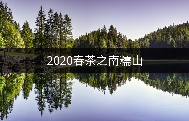 2020春茶之南糯山