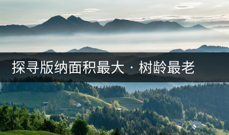 探尋版納面積最大 · 樹(shù)齡最老的南糯山多依寨古茶園