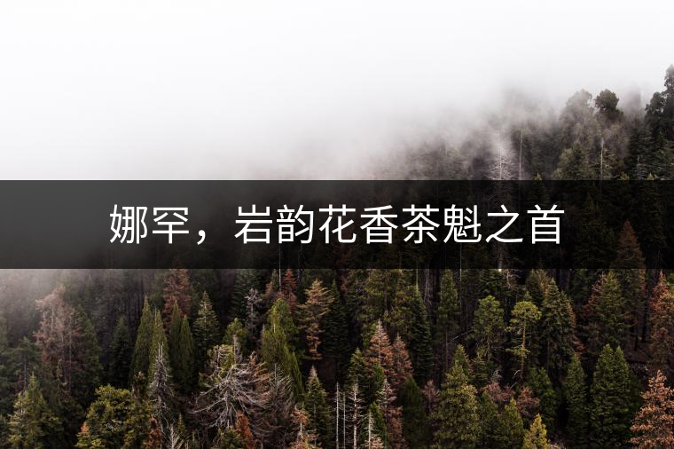 娜罕，巖韻花香茶魁之首