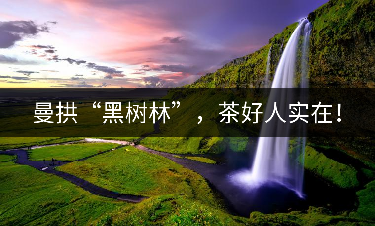 曼拱“黑樹林”，茶好人實(shí)在！