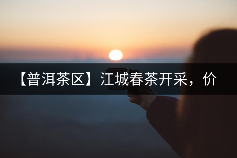 【普洱茶區(qū)】江城春茶開(kāi)采，價(jià)格漲幅小
