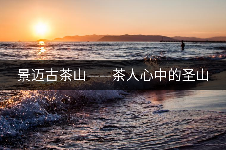 景邁古茶山——茶人心中的圣山