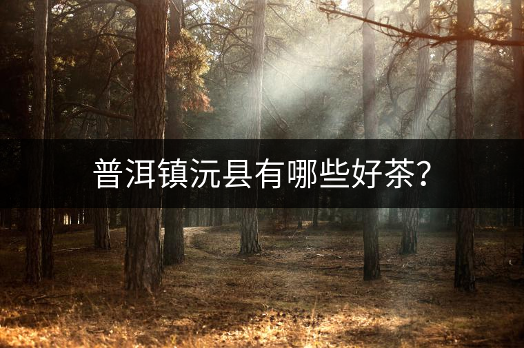 普洱鎮(zhèn)沅縣有哪些好茶？