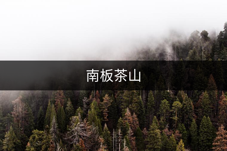 南板茶山