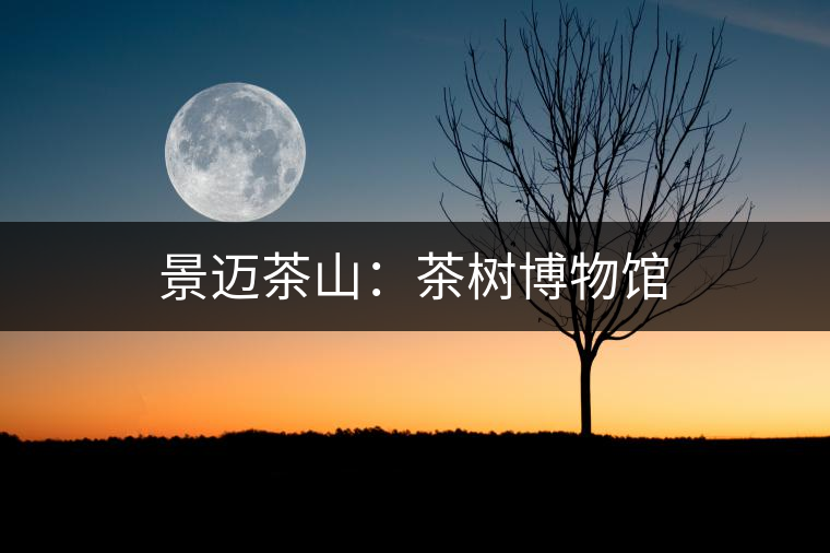 景邁茶山：茶樹博物館