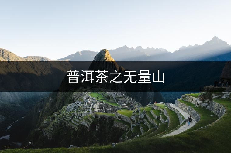 普洱茶之無量山 普洱茶之無量山