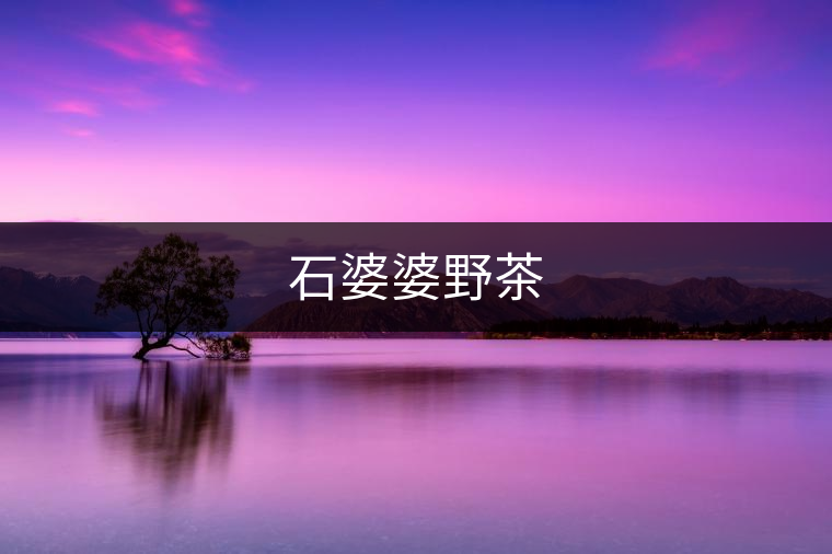 石婆婆野茶