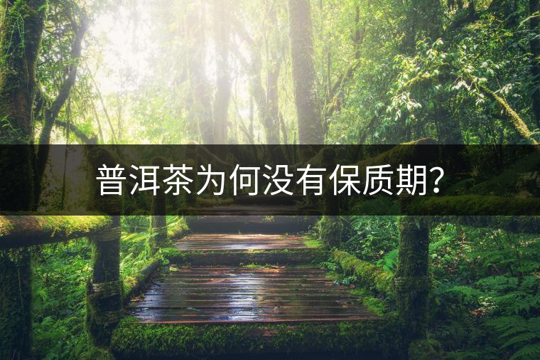 普洱茶為何沒有保質期？