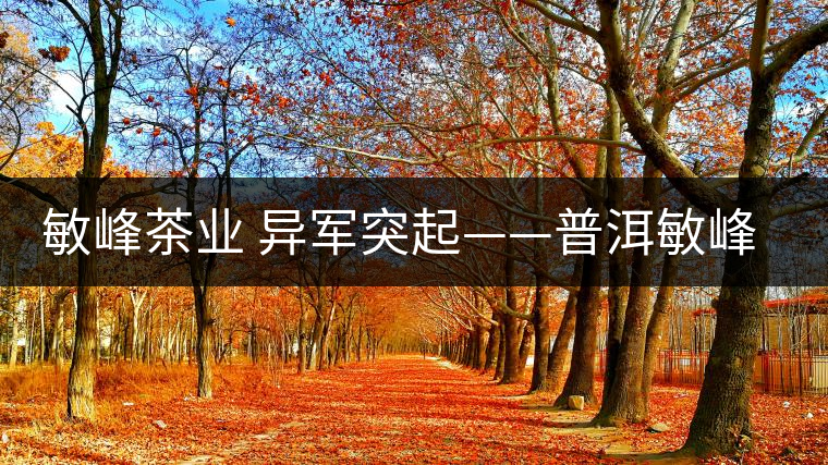 敏峰茶業(yè) 異軍突起——普洱敏峰茶業(yè)有限公司紀(jì)實(shí)