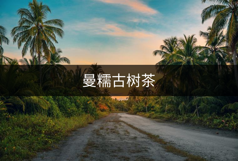 曼糯古樹茶